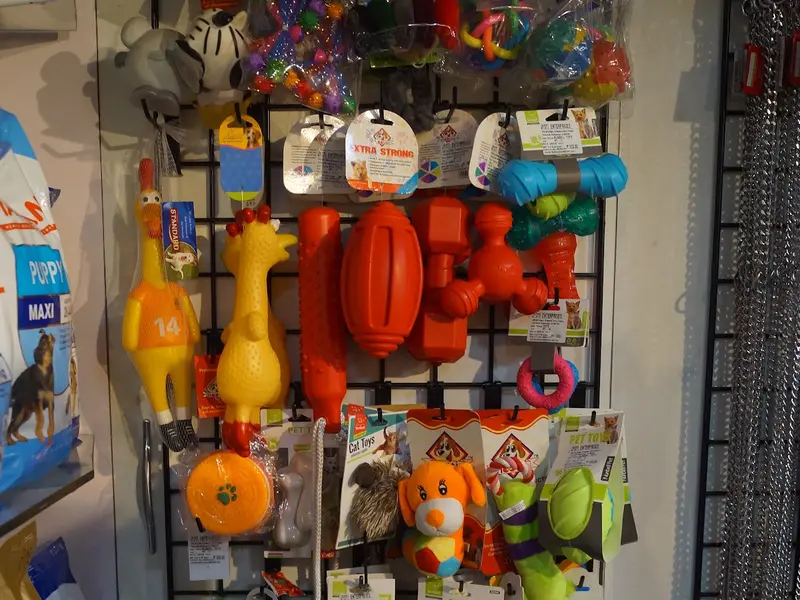 Pets Kingdom, photo 4