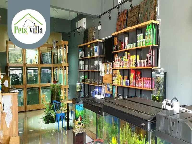 Pets Villa, photo 2