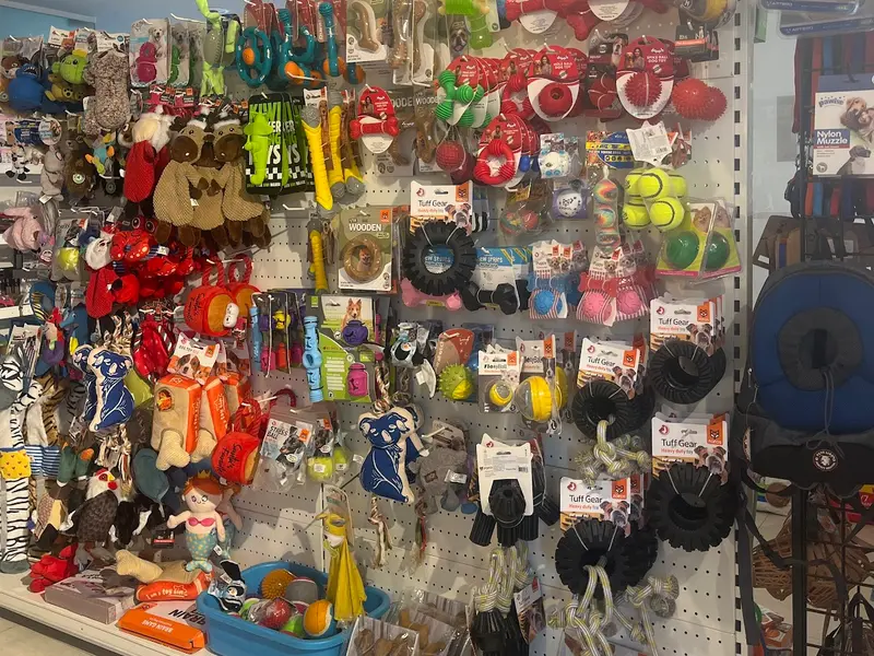 Namma Pet Boutique, photo 4