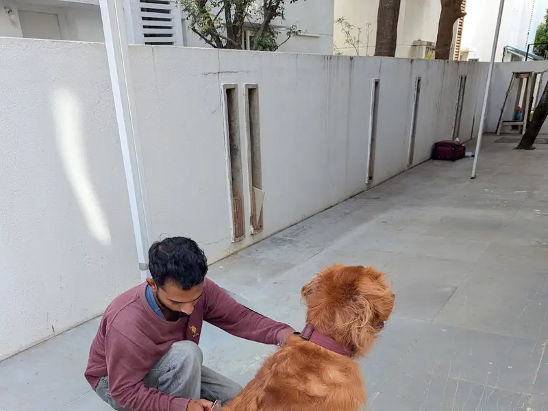 Woofly.in - Doorstep Grooming and Vet Services, photo 4