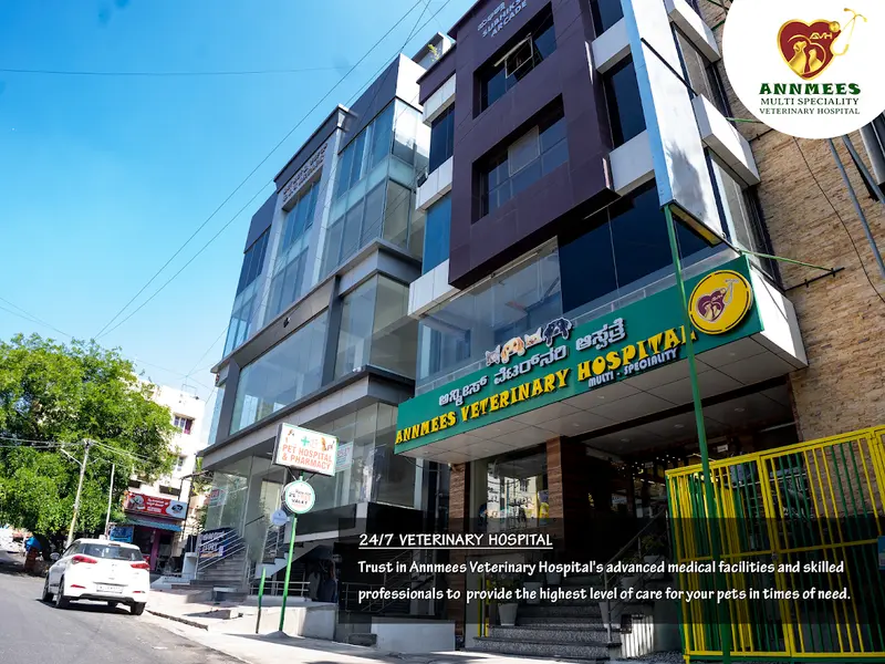 Annmees Veterinary Hospital, photo 2