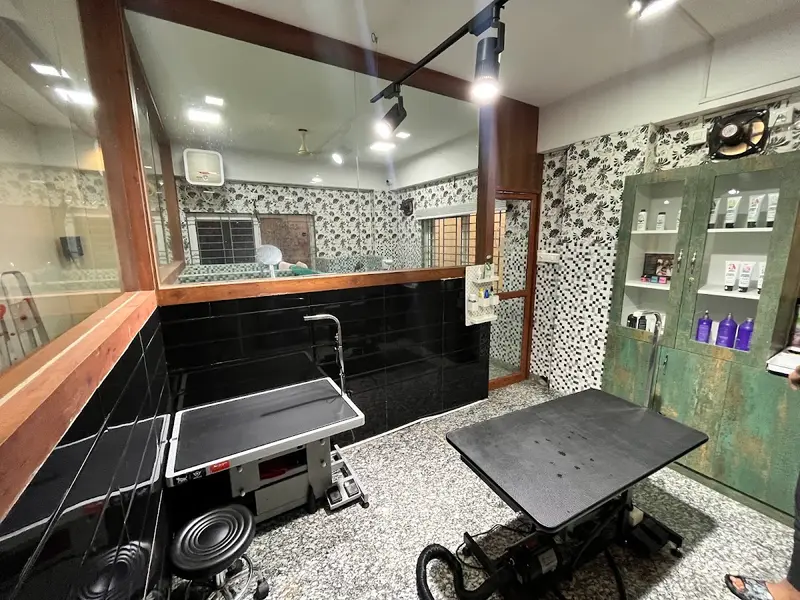 Annmees Veterinary Hospital, photo 3