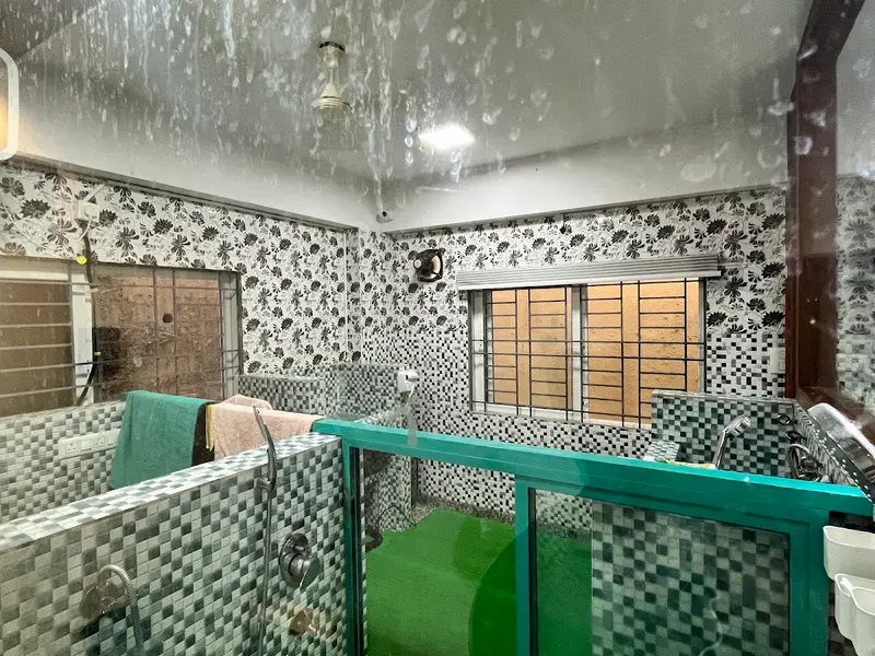 Annmees Veterinary Hospital, photo 5