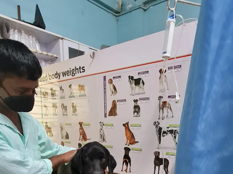 Maruthi Pet Care Centre, photo 4