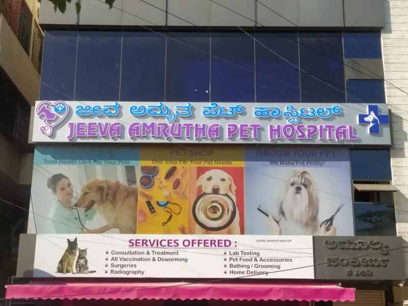 Jeeva Amrutha Pet Hospital, photo 4