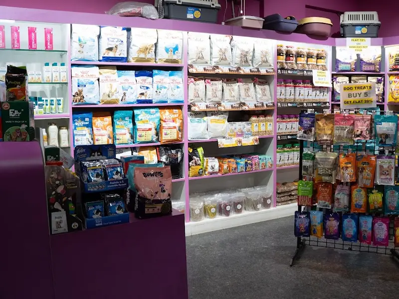 Jeeva Amrutha Pet Hospital, photo 5