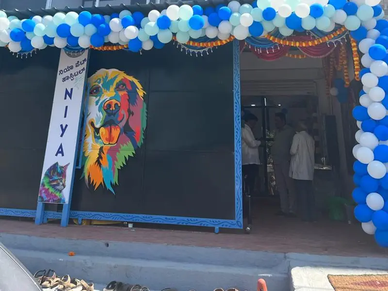 NIYA PET HOSPITAL, photo 2