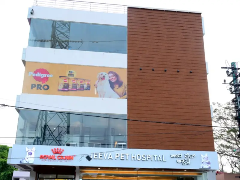 Jeeva Pet Hospital, photo 2