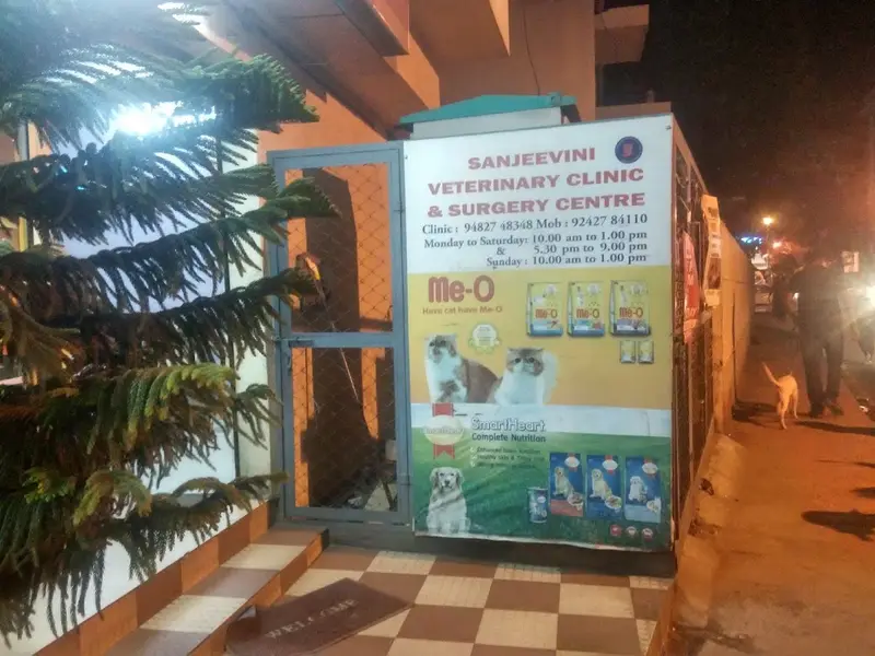 Sanjeevini Veterinary Clinic & Surgery Centre, photo 2