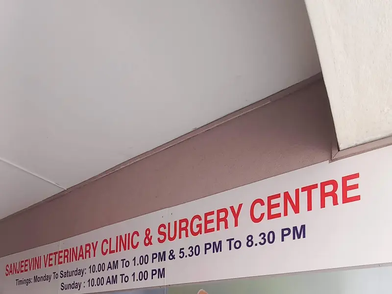 Sanjeevini Veterinary Clinic & Surgery Centre, photo 3