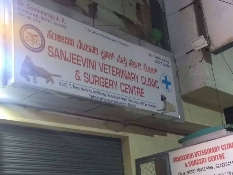Sanjeevini Veterinary Clinic & Surgery Centre, photo 4