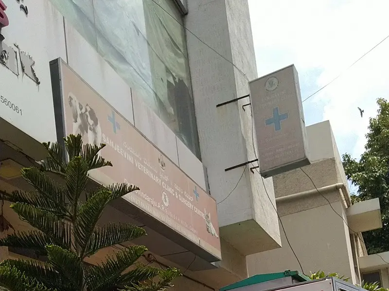Sanjeevini Veterinary Clinic & Surgery Centre, photo 5