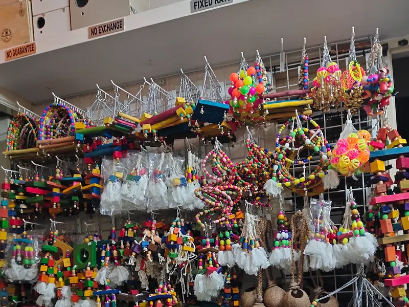 RUDRA BIRDS HOUSE - best pet shop in Bangalore, photo 4