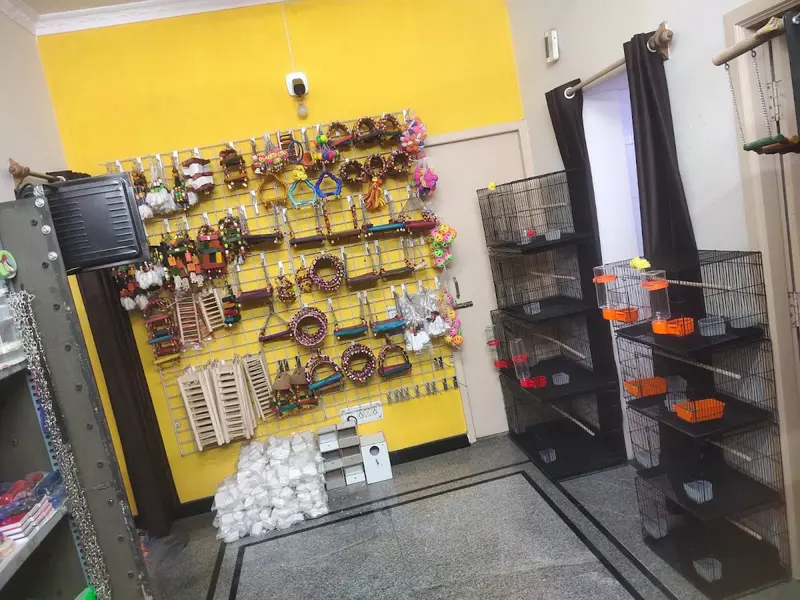 RUDRA BIRDS HOUSE - best pet shop in Bangalore, photo 5