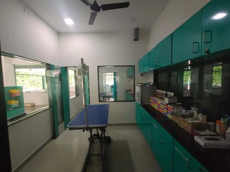 SKS VETERINARY HOSPITAL, photo 2