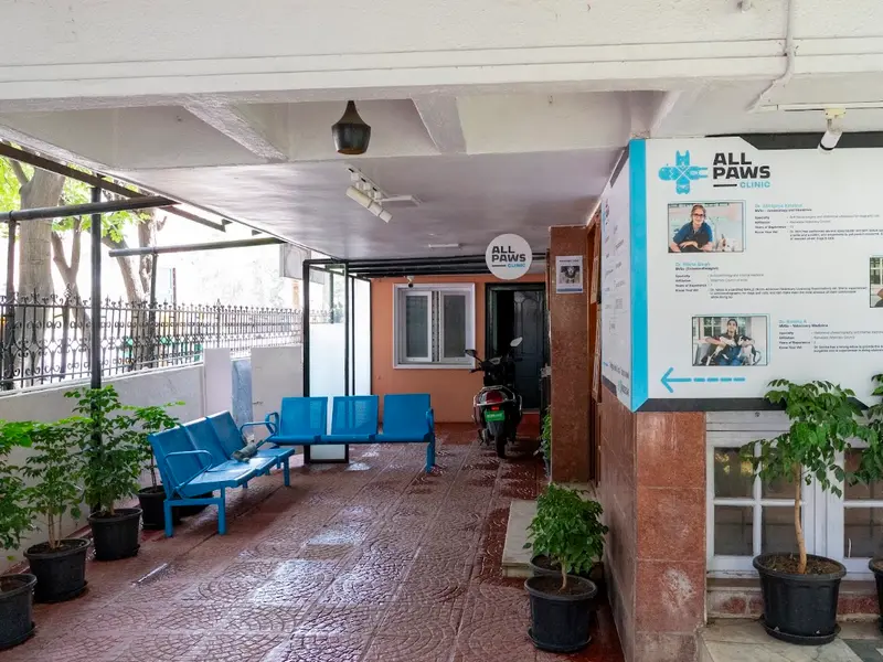 ALL PAWS VETERINARY CLINIC, photo 5
