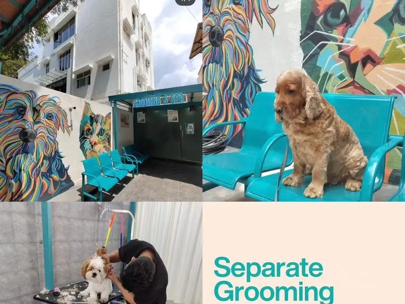 RMV MULTI-SPECIALITY VETERINARY CLINIC, photo 2