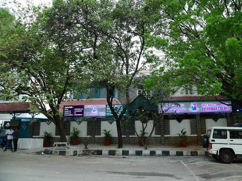 RMV MULTI-SPECIALITY VETERINARY CLINIC, photo 5