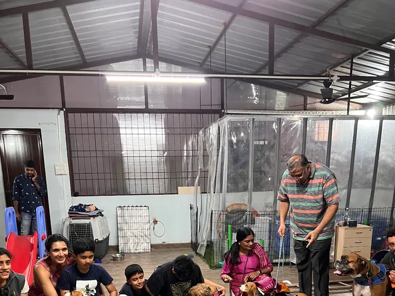 Happy Puppers Canine Training And Enrichment Center, photo 3