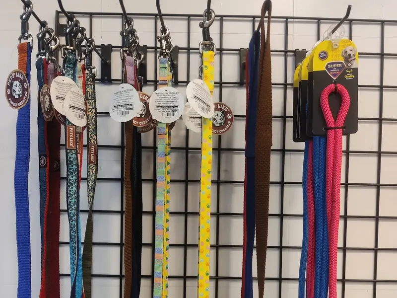 Pet Society | Pet spa & store | RR nagar, photo 4