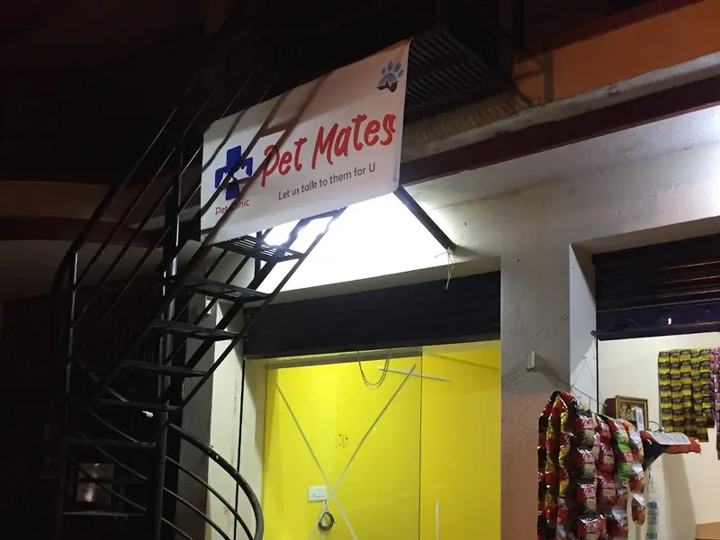 Petmates Companion Animal Care Clinic, photo 2