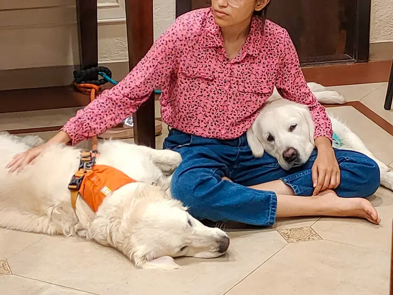 Pranati's positive Dog training, photo 3