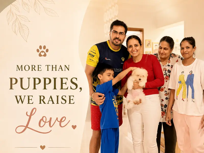 Yahweh Puppy Farm - Dogs for sale in Bangalore | Trusted Dog Breeders, photo 5