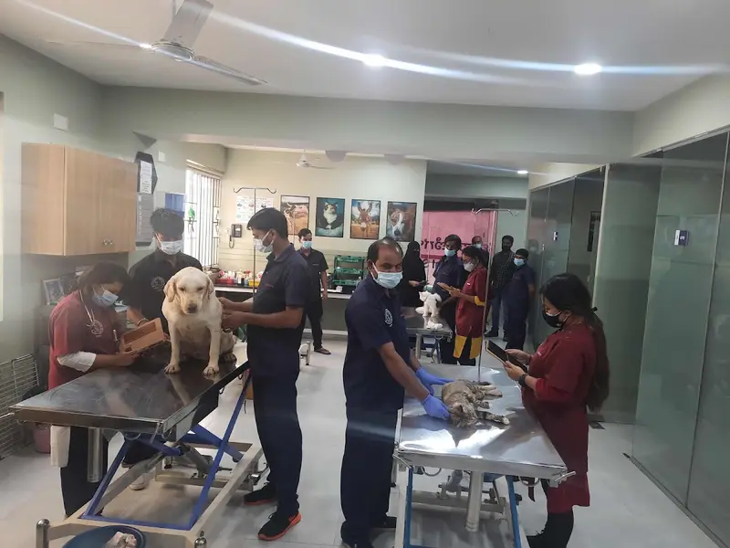 CUPA Small Animal Specialty Hospital, photo 2