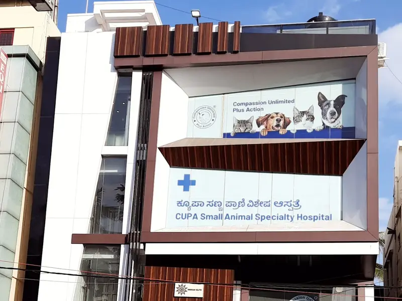 CUPA Small Animal Specialty Hospital, photo 3