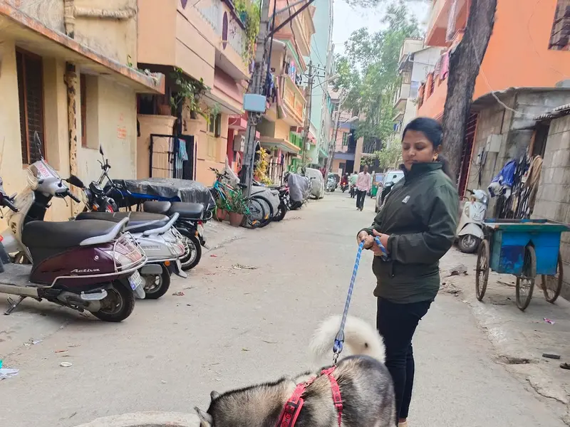 Dilip Pet Boarding And Daycare, photo 5