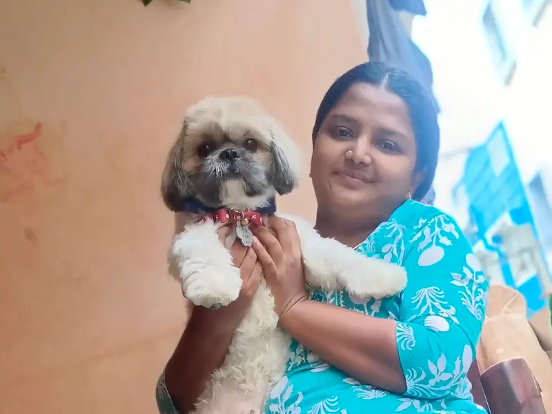 Dilip Pet Boarding And Daycare
