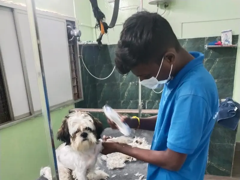 HI Tech Pet Grooming Center, photo 4