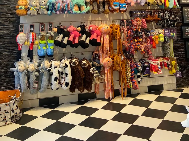 Heads Up For Tails Pet Store & Spa - New Bel Road, Bengaluru, photo 2