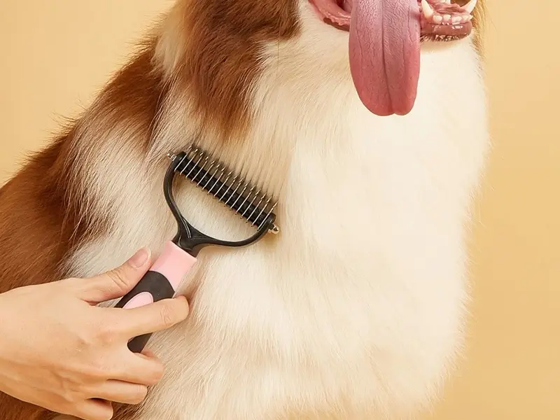 Poochies Pet Store & Spa, photo 2