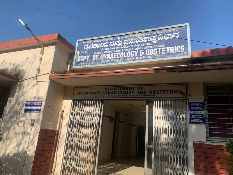 Veterinary Hospital, photo 3