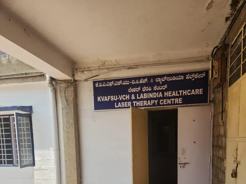 Veterinary Hospital, photo 4