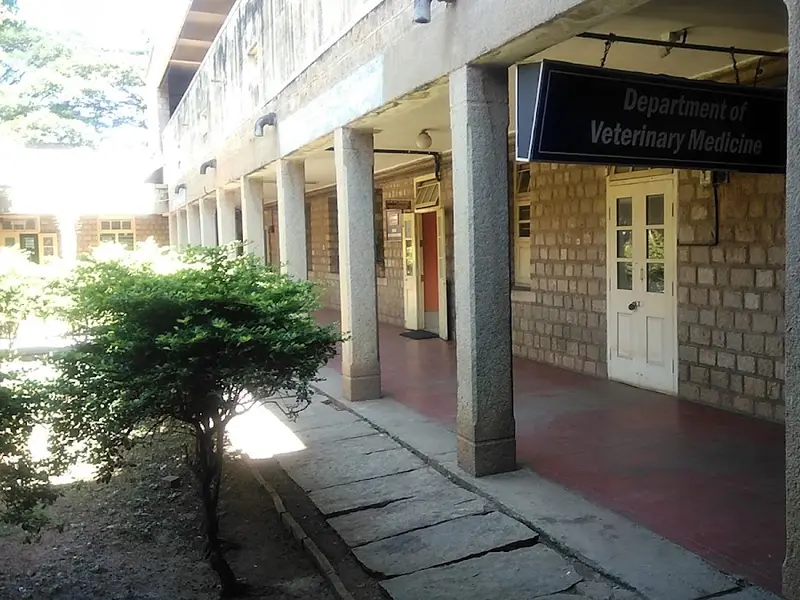 Veterinary Hospital, photo 5