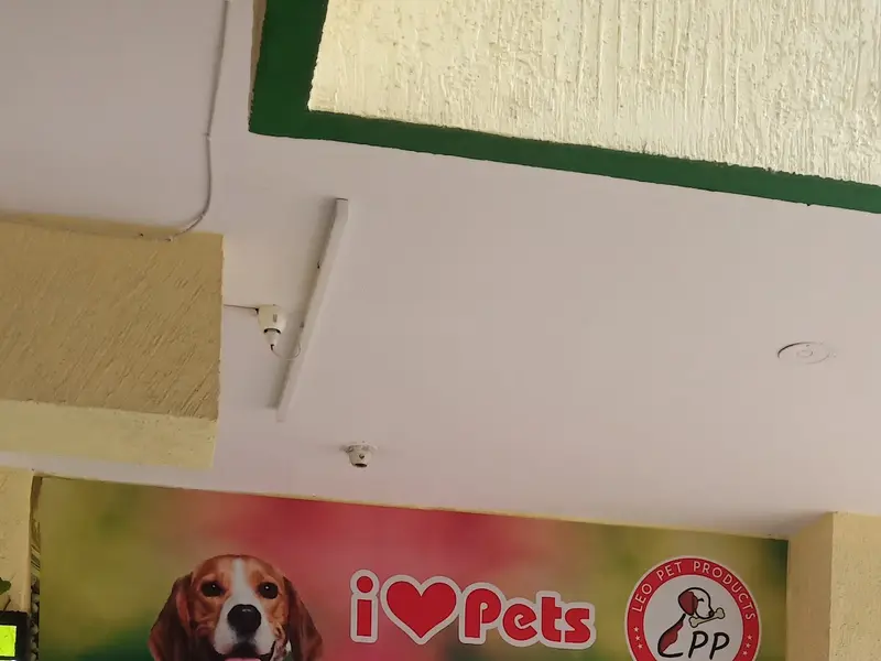 Leo Pet Products, photo 2