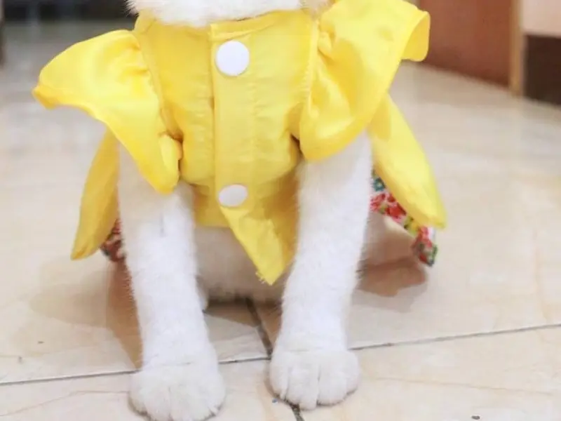 Leo Pet Products, photo 4
