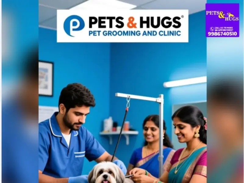 PETS & HUGS PET GROOMING AND CLINIC, photo 3
