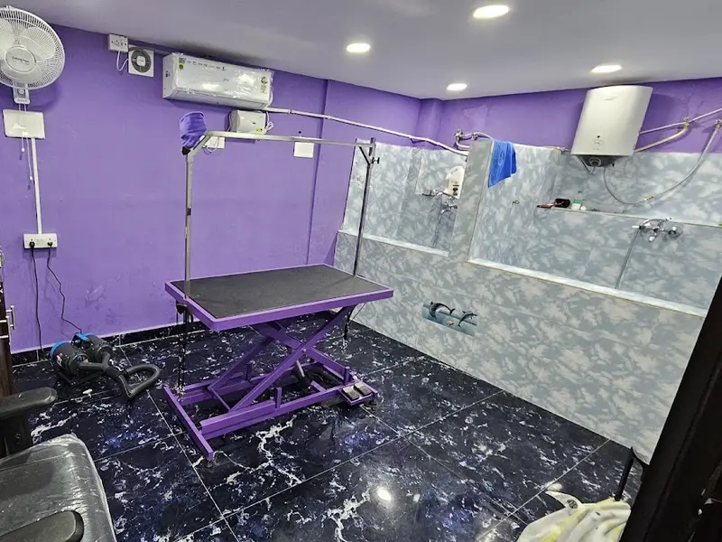 PETS & HUGS PET GROOMING AND CLINIC, photo 4