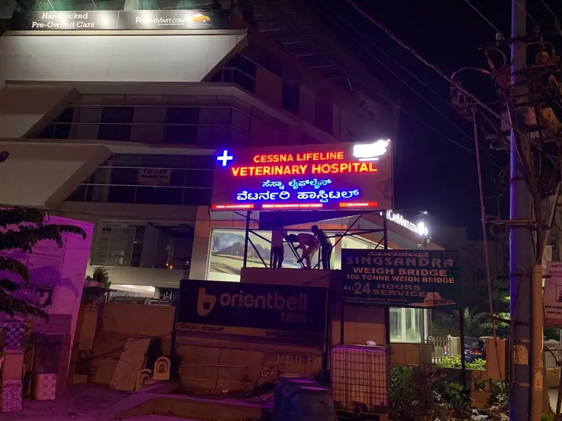 Cessna Lifeline Veterinary Hospital Hosur Main Road, photo 3