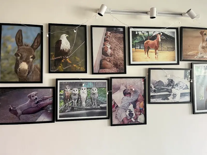 CUPA Admin Office, photo 5