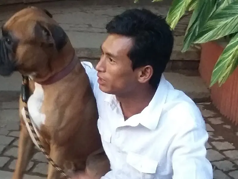 Rajkumar Professional Dog Walker, photo 2