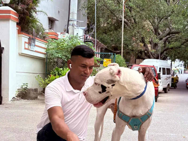 Rajkumar Professional Dog Walker, photo 4