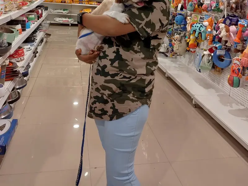 JUSTDOGS | Victoria Layout, Bengaluru, photo 3