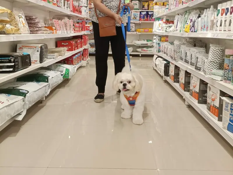 JUSTDOGS | Victoria Layout, Bengaluru, photo 4