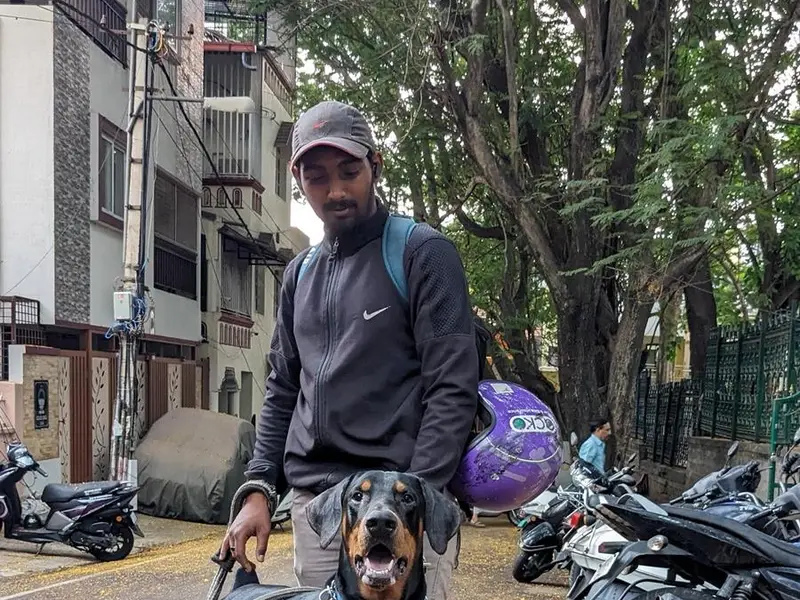 dogs love training, photo 2