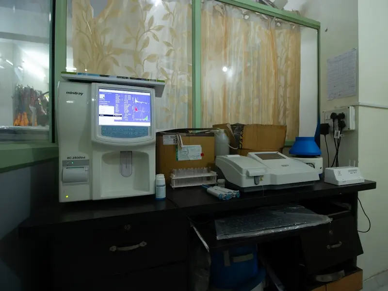 The Blue capital Pet Hospital, photo 5