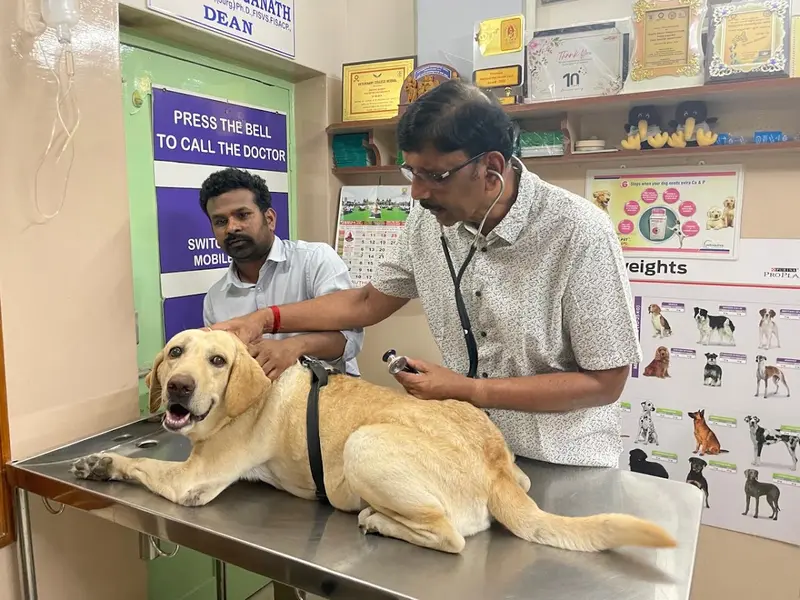 Vijay Veterinary Clinic ವಿಜಯ್ ವೆಟರ್ನರಿ ಕ್ಲಿನಿಕ್, photo 2